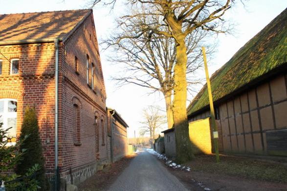 Ferienwohnung Buchholz Buchholz  المظهر الخارجي الصورة